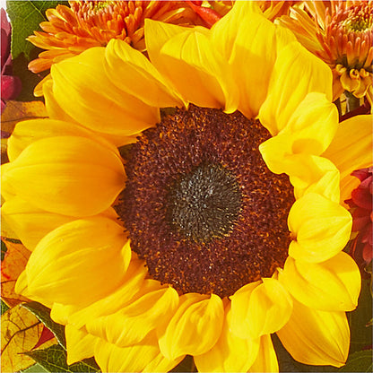 Sunny Side Bouquet –  Oaxaca Florist, Gaithersburg MD