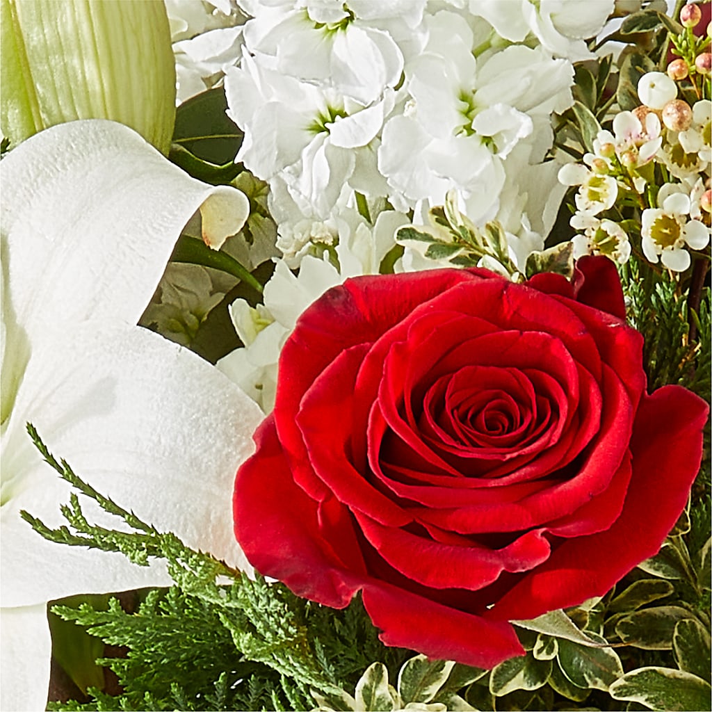 Twinkle Lights Bouquet –  Oaxaca Florist, Gaithersburg MD