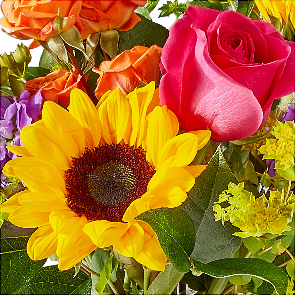 Vibrant Greetings Bouquet –  Oaxaca Florist, Gaithersburg MD