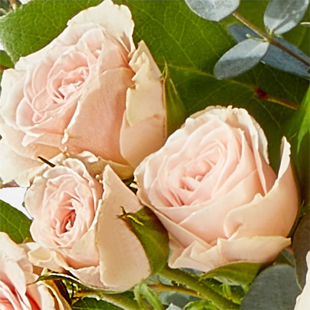 Inspired Bouquet –  Oaxaca Florist, Gaithersburg MD