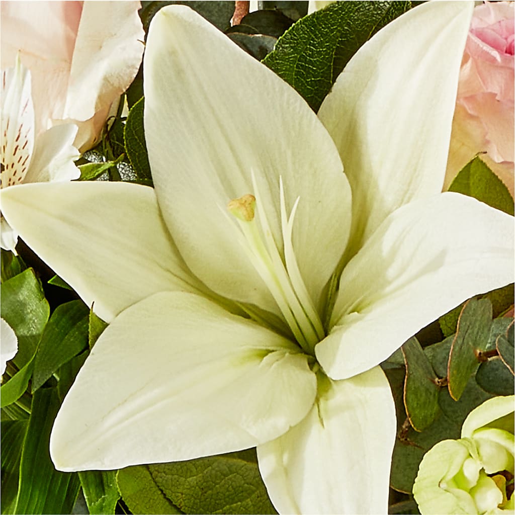 Ballet Slippers Bouquet –  Oaxaca Florist, Gaithersburg MD