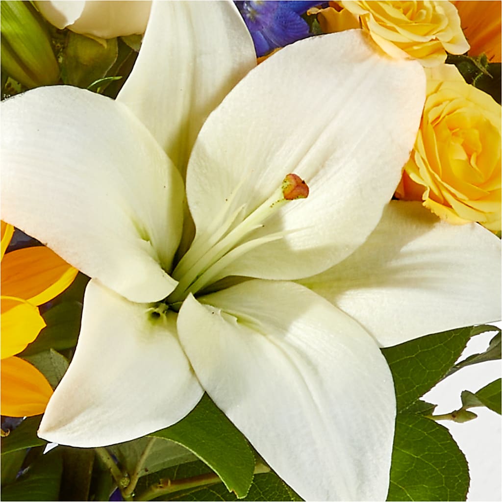 Wonderfully Sunny Bouquet –  Oaxaca Florist, Gaithersburg MD