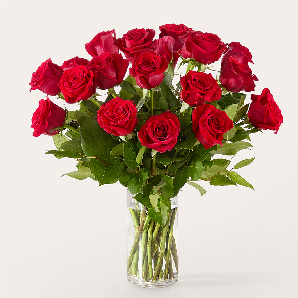 The One Red Rose Bouquet –  Oaxaca Florist, Gaithersburg MD