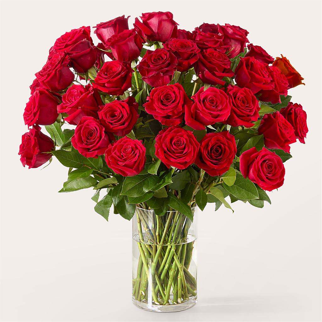The One Red Rose Bouquet –  Oaxaca Florist, Gaithersburg MD