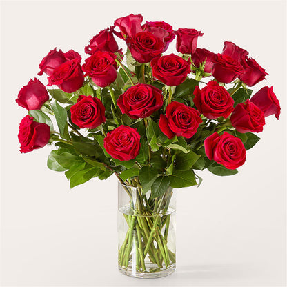 The One Red Rose Bouquet –  Oaxaca Florist, Gaithersburg MD