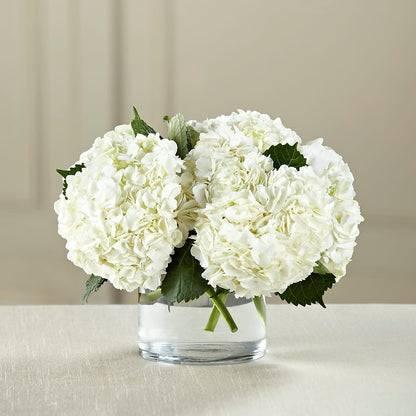 White Hydrangea Bouquet –  Oaxaca Florist, Gaithersburg MD