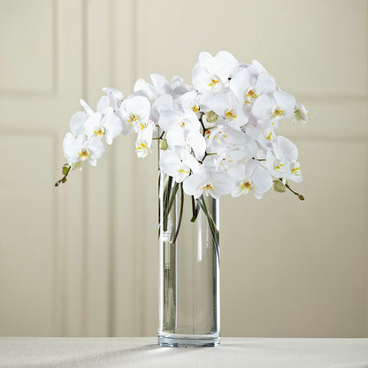 White Phalaenopsis Bouquet –  Oaxaca Florist, Gaithersburg MD